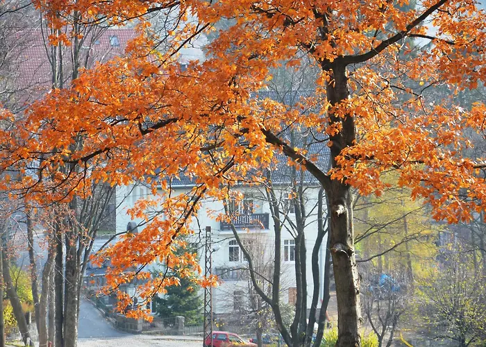 Na Cichej Bed & Breakfast