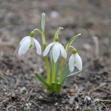 Frühstückspension Na Cichej