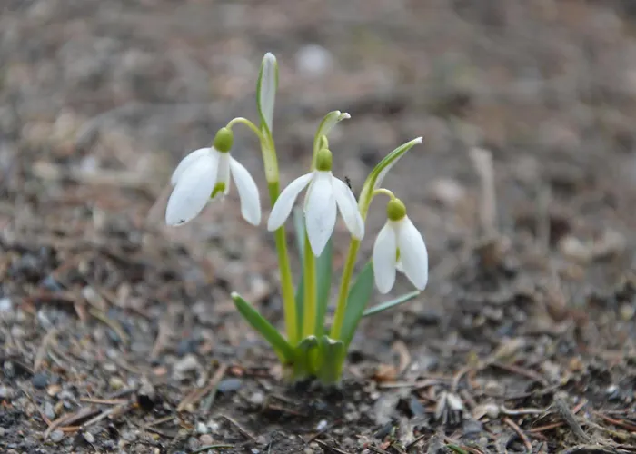 Nocleg ze śniadaniem Na Cichej